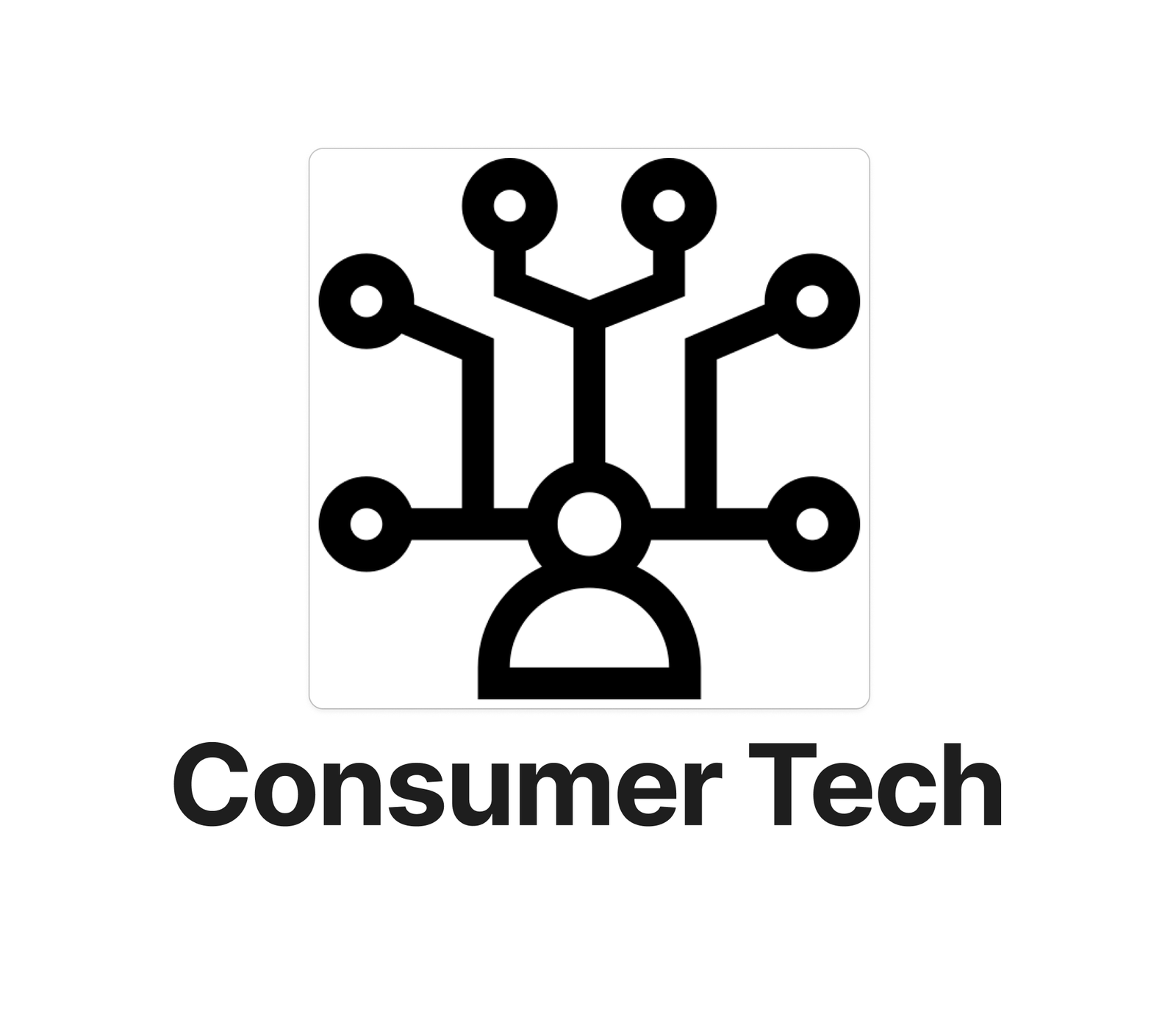 IT recruitment for consumer goods in Bangalore